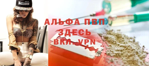 шишки Козельск