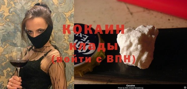 шишки Козельск