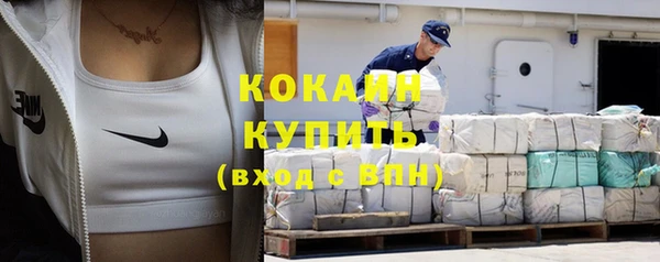 шишки Козельск