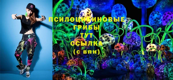 шишки Козельск