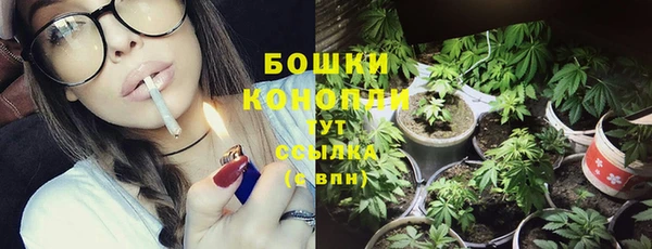 шишки Козельск