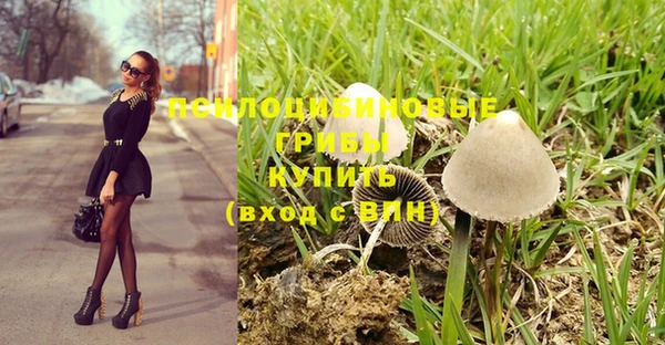 спайс Кодинск