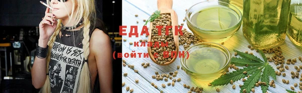 шишки Козельск