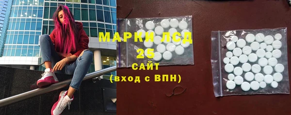 шишки Козельск