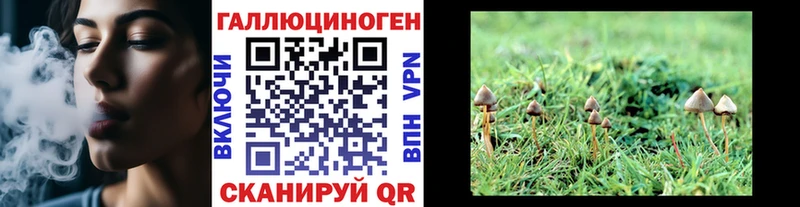 Галлюциногенные грибы ЛСД  Купить  Закаменск 