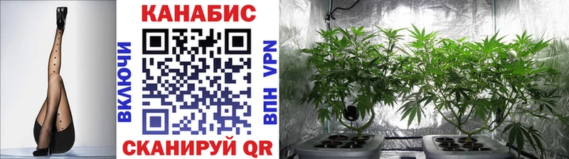 Канабис сатива  Купить  Закаменск 